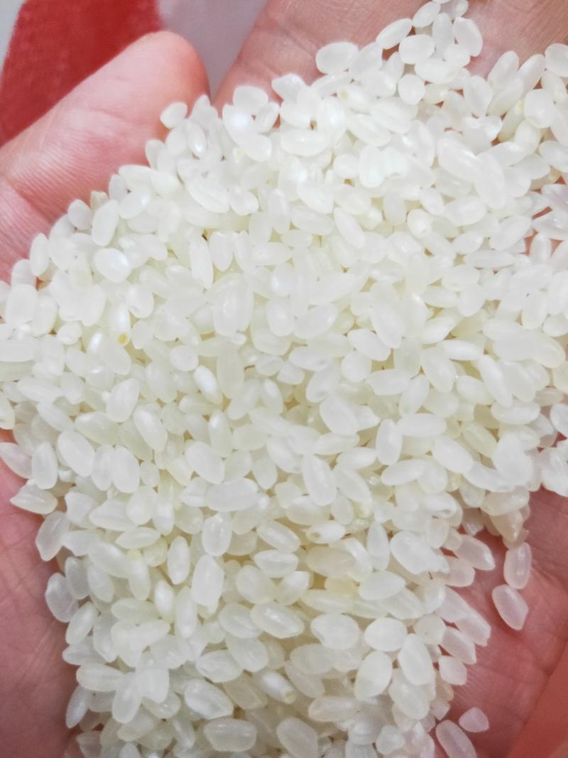 珍珠米，大米，江苏米