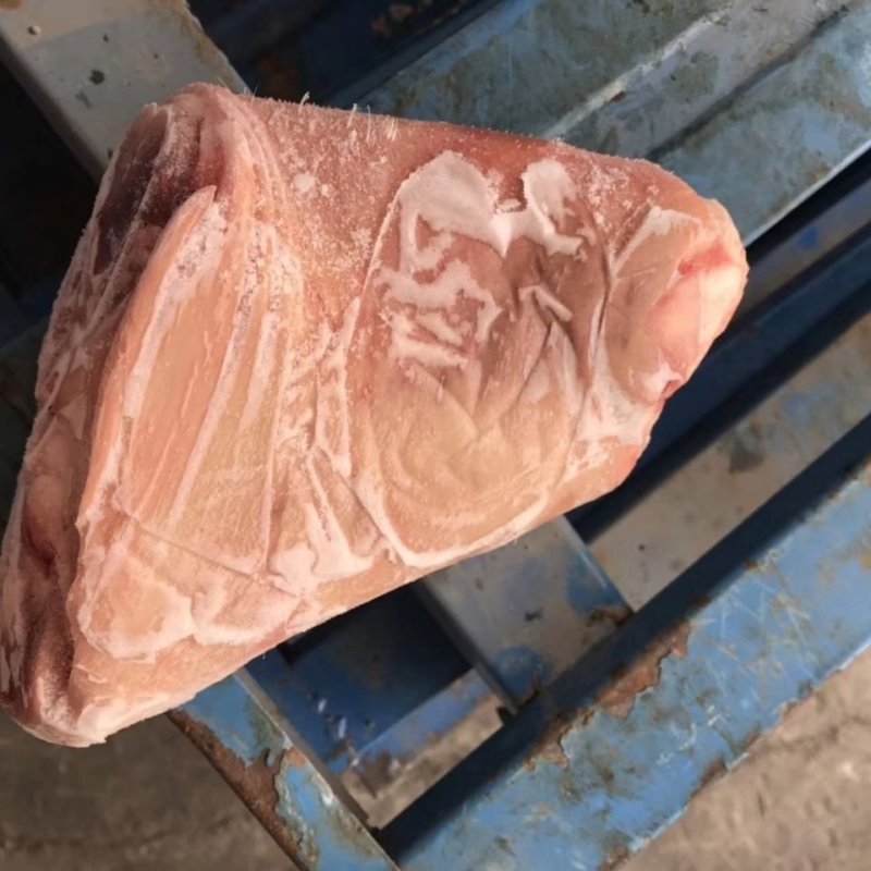新鲜冷冻猪蹄髈生猪肘子前肘一箱20斤9-10个左右饭店食