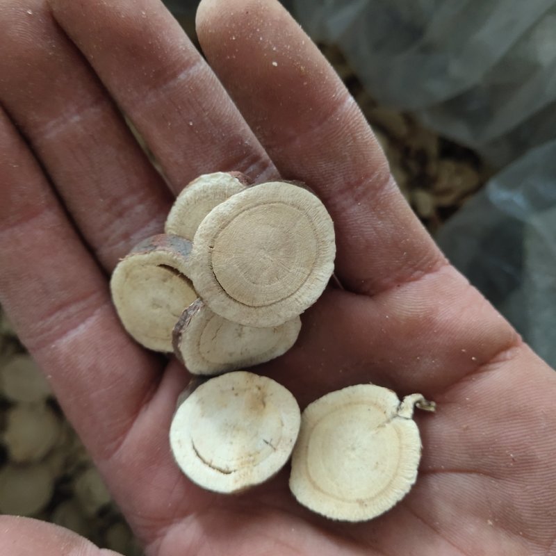 甘草片新疆甘草2.0以上甘草1000g起批关书药业