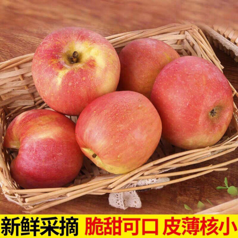 一件代发10斤红富士苹果新鲜糖心苹果脆甜新鲜水果包邮