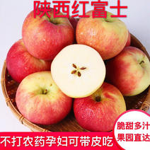 一件代发10斤红富士苹果新鲜糖心苹果脆甜新鲜水果包邮