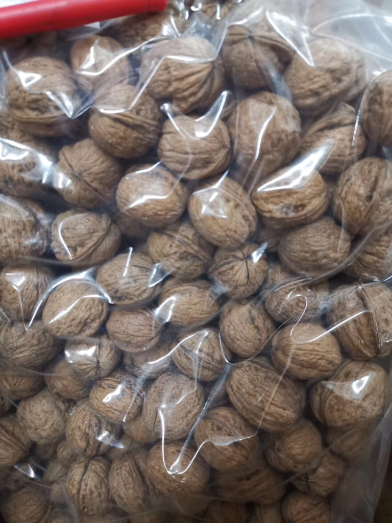 核桃红衣核桃又称血核桃/件10斤