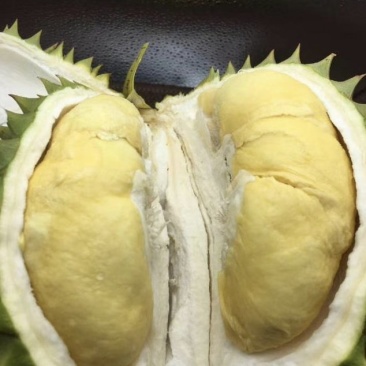 越南榴莲（干荛）