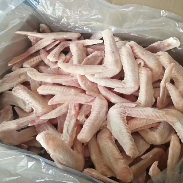 单冻二节翅中号郑州厂家代理