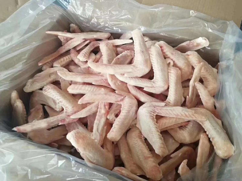 单冻二节翅中号郑州厂家代理