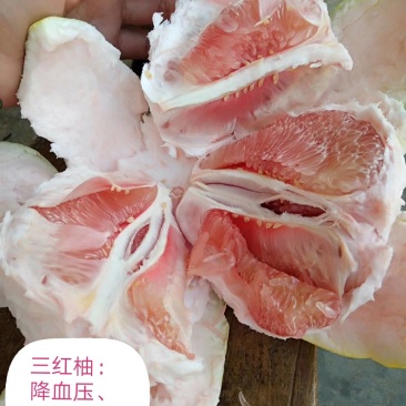 柚子