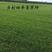美国四季青草坪种子护坡草籽黑麦草地毯草结缕草发芽率98%