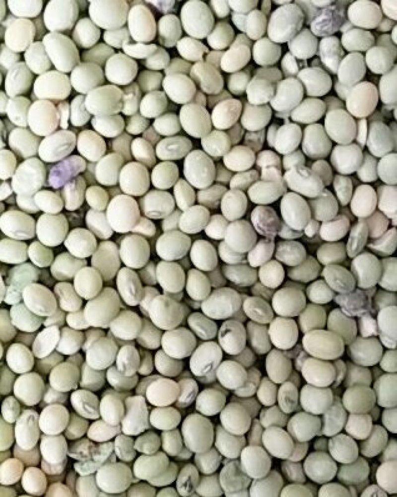 青皮豆