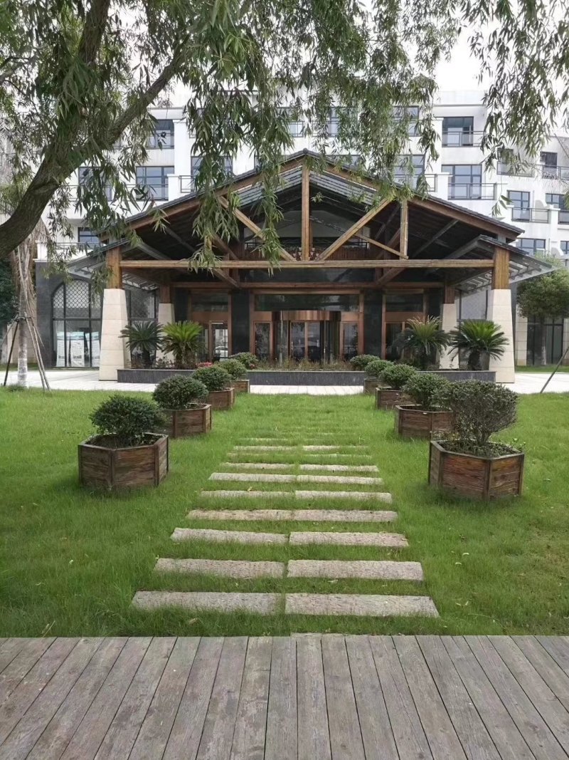 剪股颖不修剪草坪草皮种子草籽四季常青高档庭院会所高尔夫