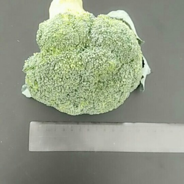 西兰花