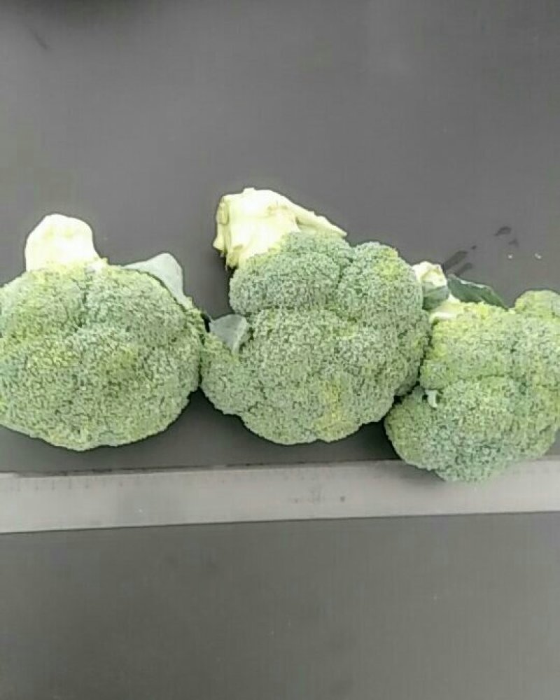 西兰花