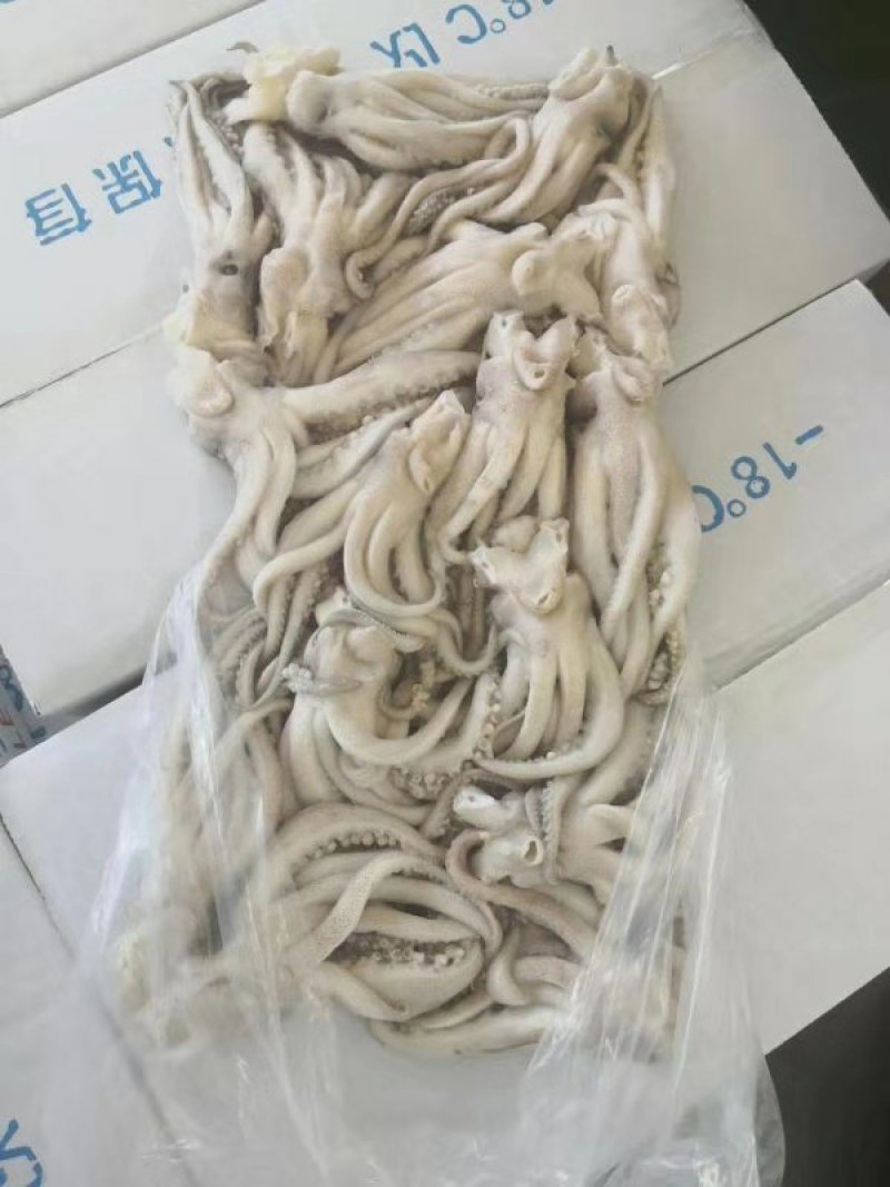 鱿鱼头一箱5斤，。。。。。。。。。。。。。。