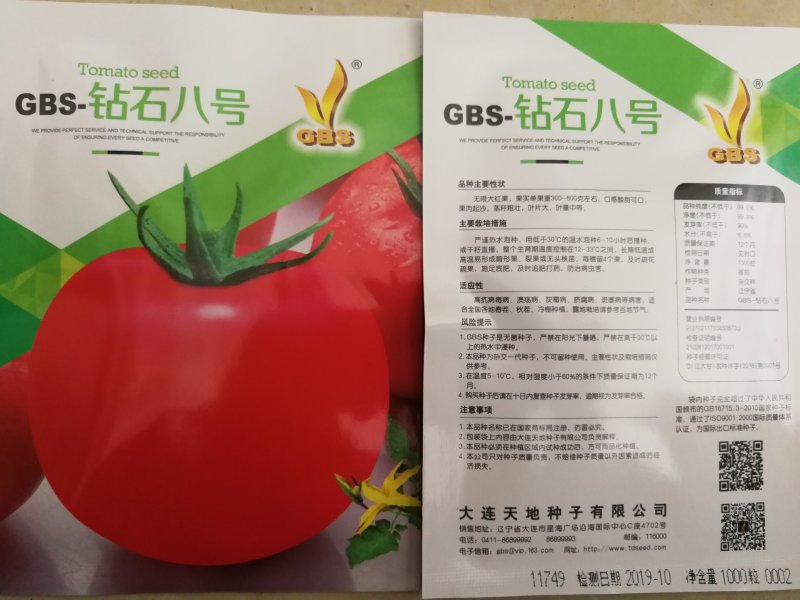 番茄种子