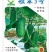 短翠3号甜节瓜早熟皮色翠绿瓜短筒均匀座果力强