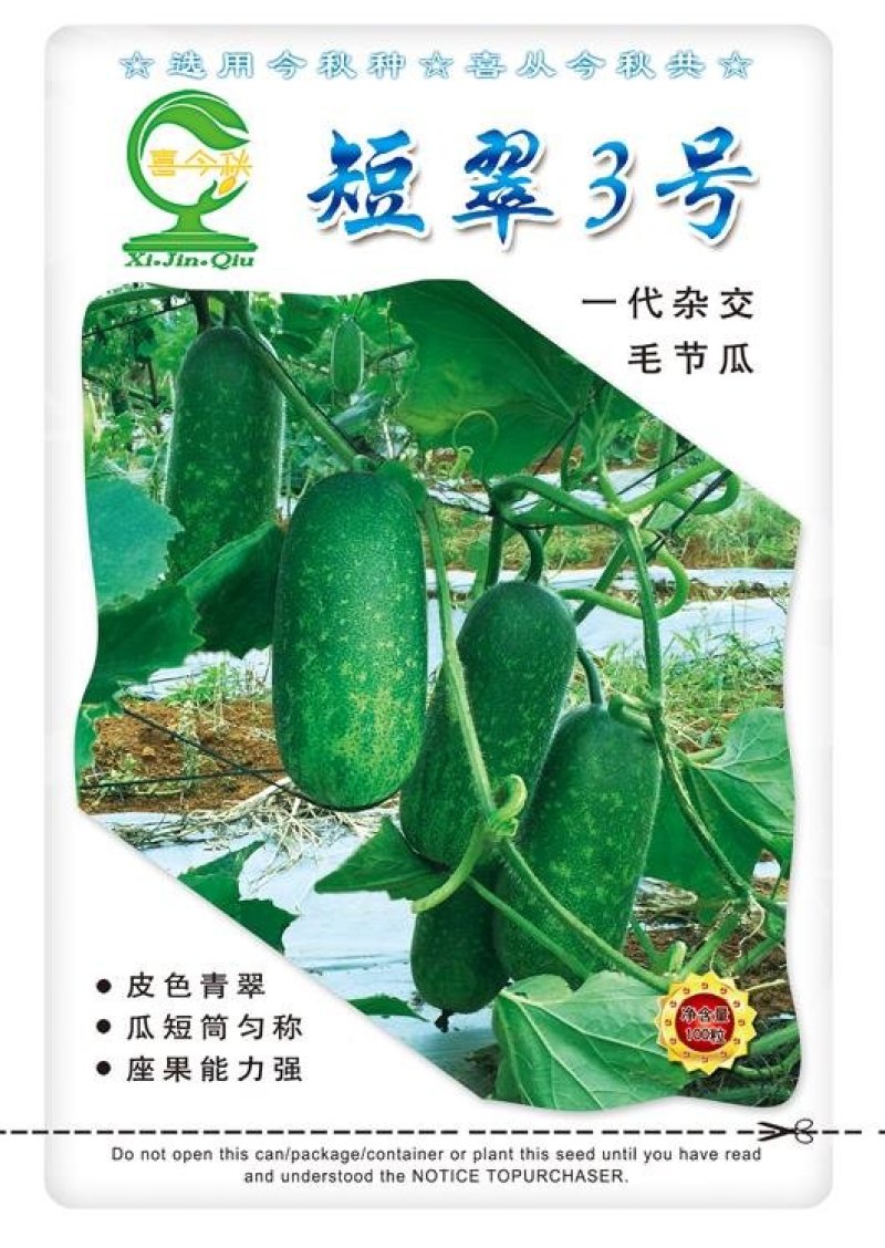 短翠3号甜节瓜早熟皮色翠绿瓜短筒均匀座果力强
