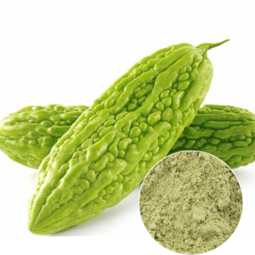苦瓜粉东北苦瓜降糖原料
