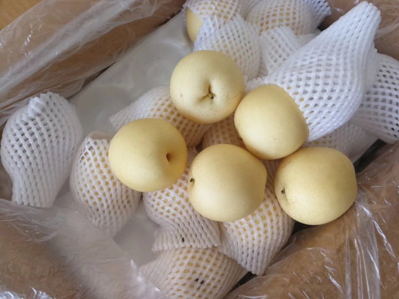 【一级】皇冠梨大量出库中型号齐全保质保量