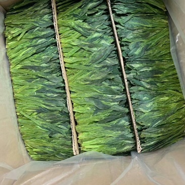 太平猴魁，清凉爽口，香气扑鼻。