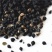 荞麦种子包邮优质甜荞麦种子黑荞麦种子苦荞种子四季种植芽