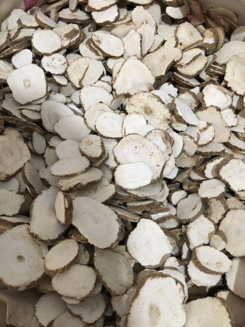 【舜波中药材】白芷量大从优