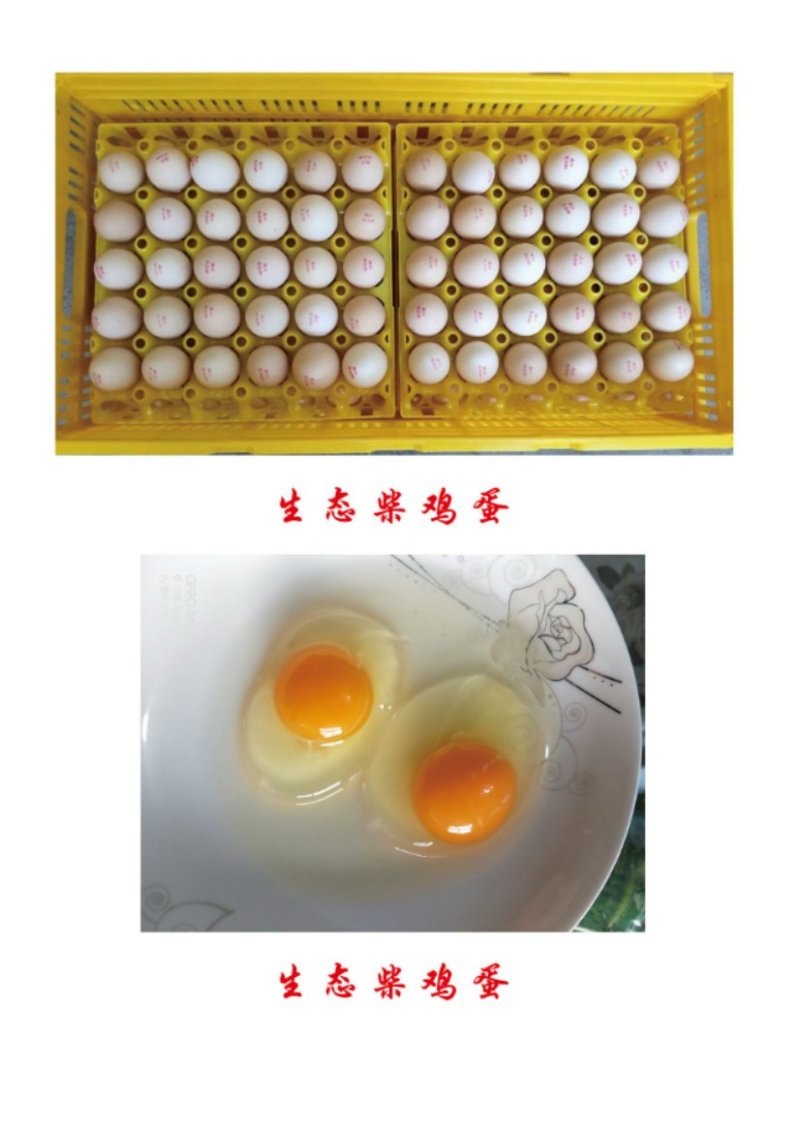 晟冉优品鲜鸡蛋