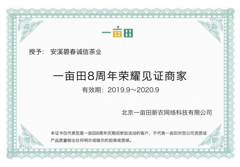 芽中芽纯黄牙金骏眉【全黄无黑芽带金豪】老茶师制作