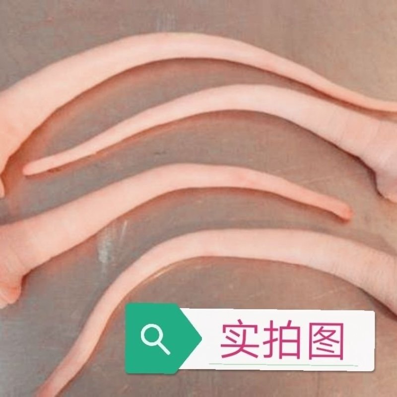3一5斤新鲜猪尾巴新鲜现杀土猪肉农家散养土猪尾巴生猪尾