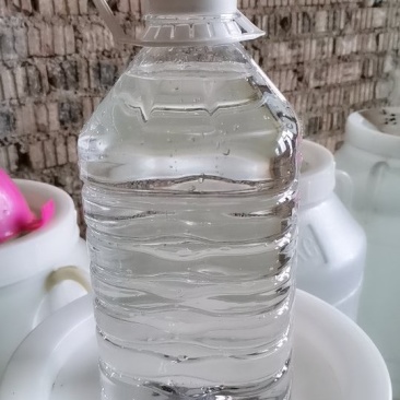 农家固态发酵纯粮原浆玉米酒散装纯粮酒