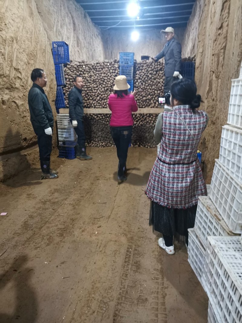 板栗红薯