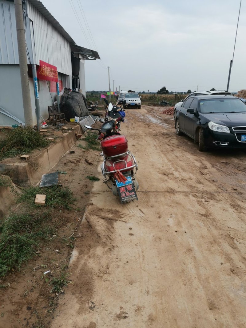 板栗红薯