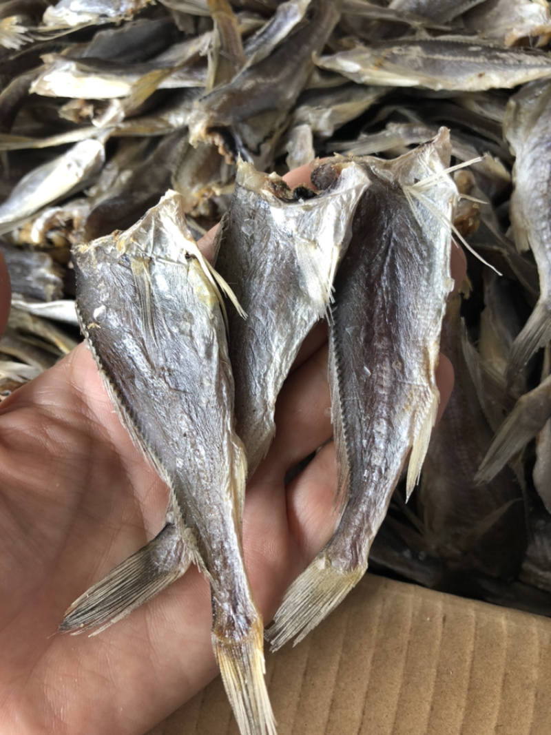 小黄花鱼干，无杂质，无头，去肚子，批发，整吨价格详谈