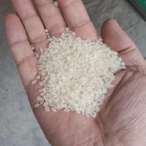 苏北粳米苏香米水晶米珍珠大米25kg/袋