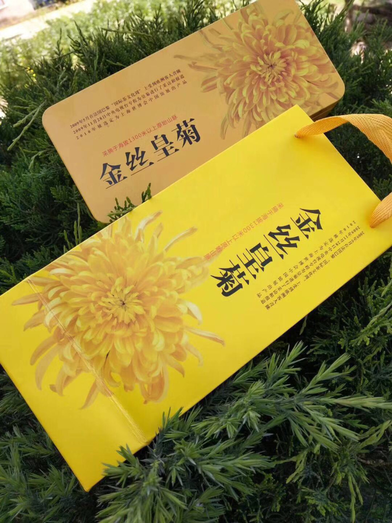 金丝皇菊礼盒装朵朵花饱满送人佳品菊花茶菊花花茶