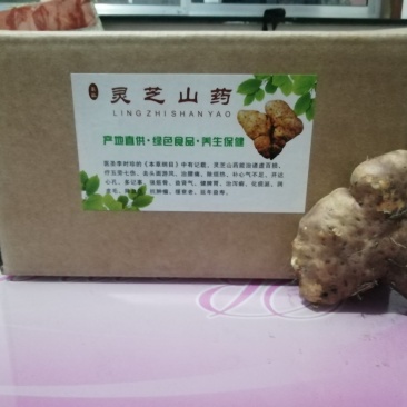 灵芝山药团购