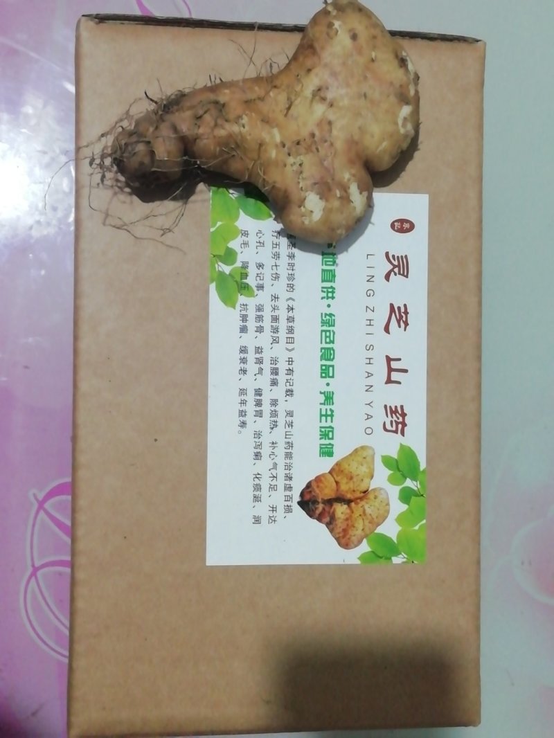 灵芝山药团购