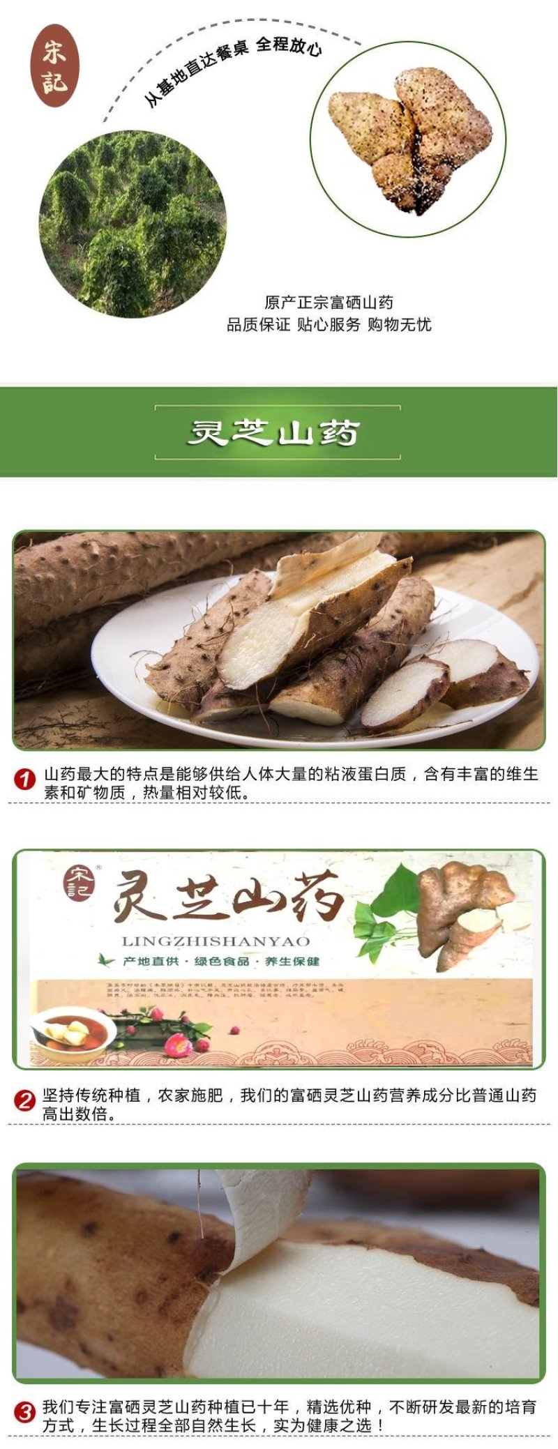 灵芝山药团购