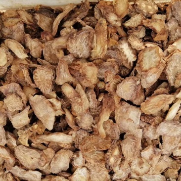 阿拉善肉苁蓉鲜干片(一件代发)，去皮切片