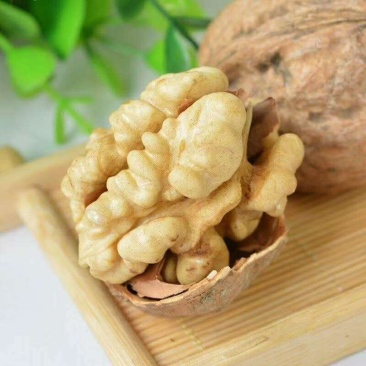 新疆和田墨玉县核桃500克包邮