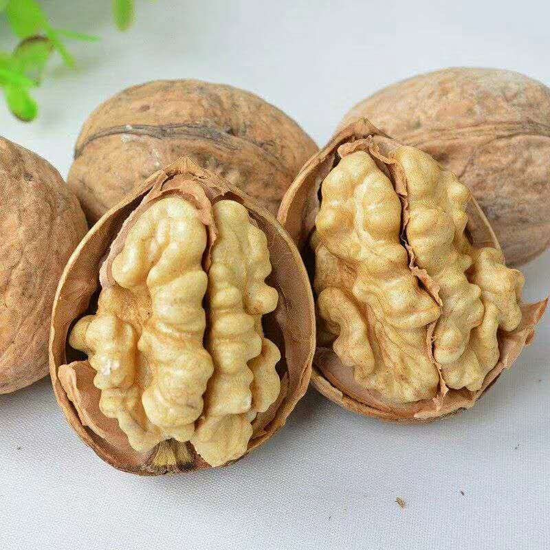 新疆和田墨玉县核桃500克包邮