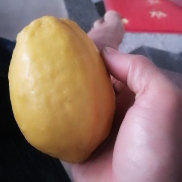 柠檬