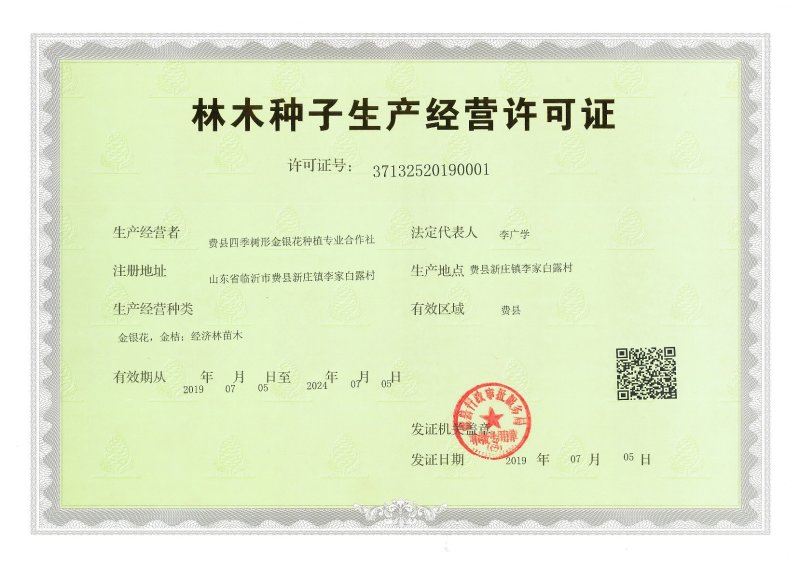 （实力供货）山东费县金银花苗基地直供包活包纯度包回收干品