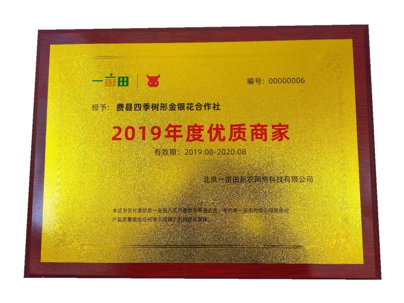 （实力供货）山东费县金银花苗基地直供包活包纯度包回收干品