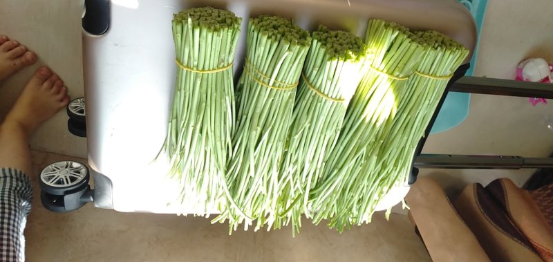 精品芦蒿！