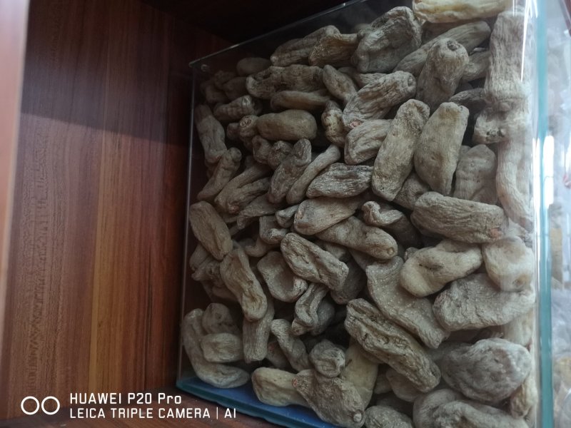 云南昭通小草坝天麻