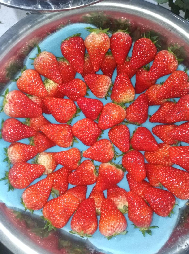 【有好货】红颜草莓巧克力草莓新鲜冬草莓一件代发