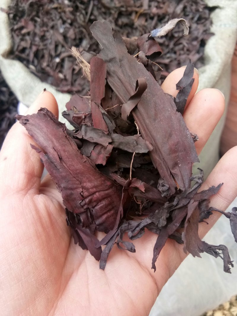 紫草正品硬紫草各种规格干净无杂中药材大全