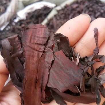 紫草正品硬紫草各种规格干净无杂中药材大全
