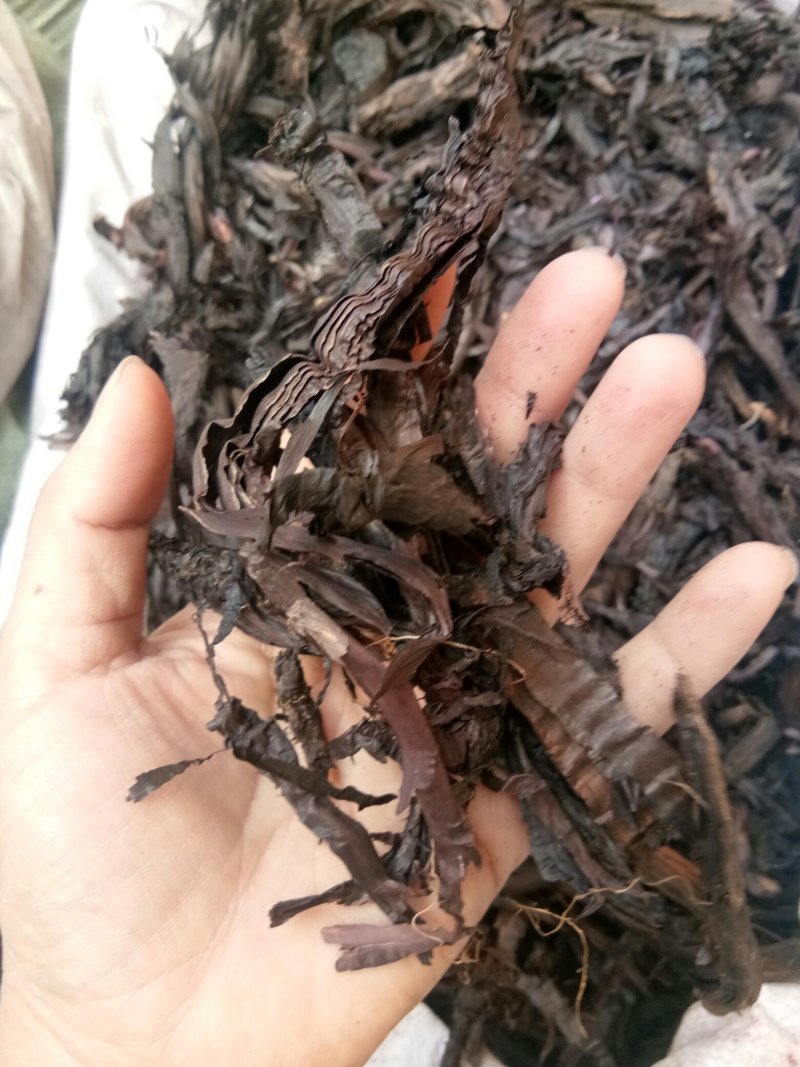 紫草正品硬紫草各种规格干净无杂中药材大全