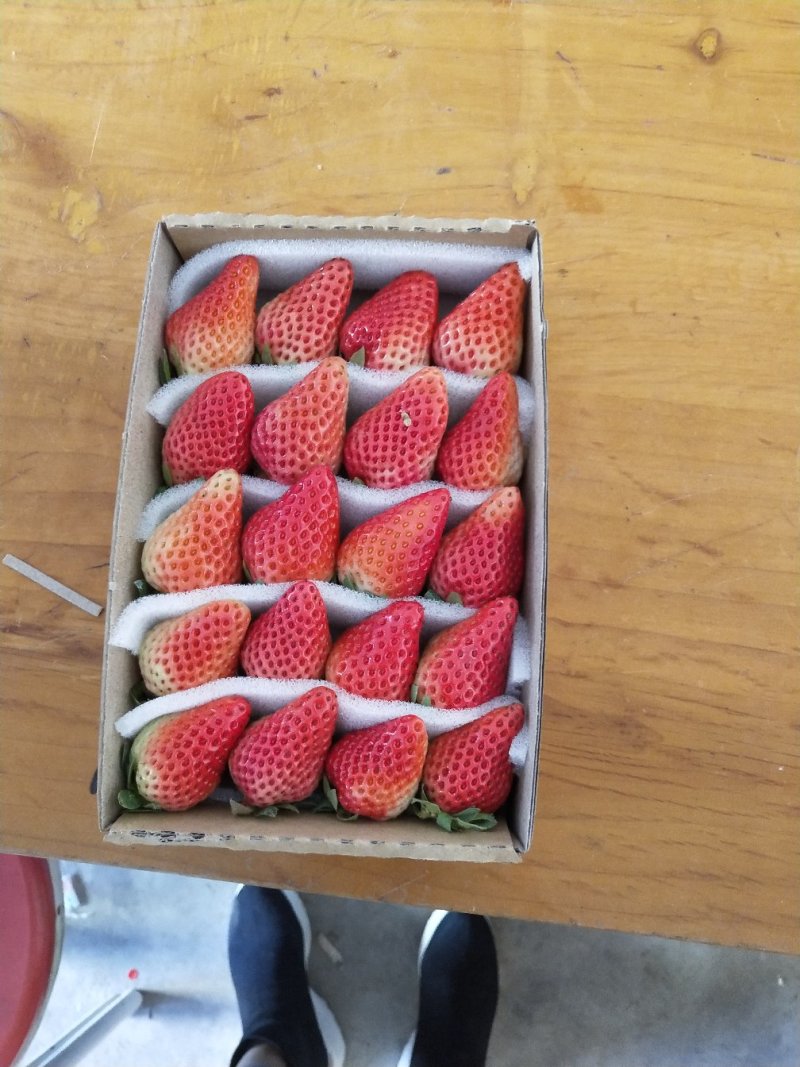 草莓