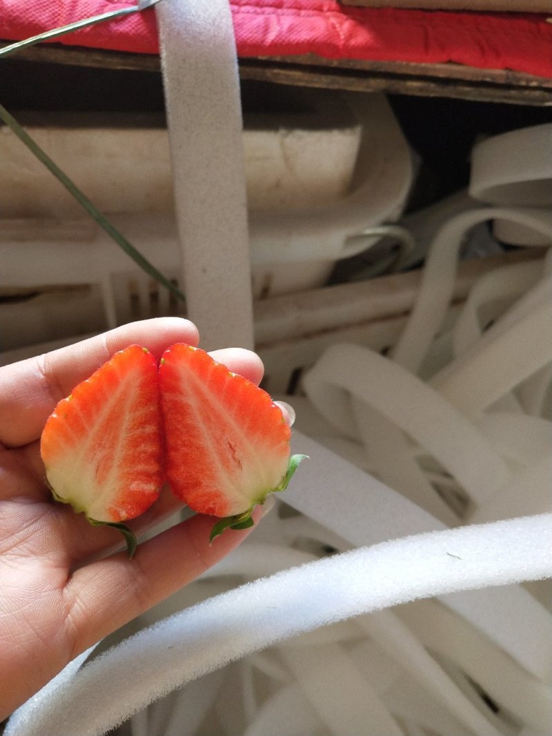 草莓